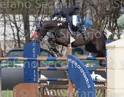 Martinengo Pro und Contra TosTour 2013- S4 6473 : Arezzo Equestrian Centre, Martinengo Riccardo, Pro und Contra, Toscana Tour 2013, foto di Stefano Secchi ©